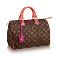 Louis Vuitton M41665 Speedy 30 Totem Tote Bag Toile Monogram