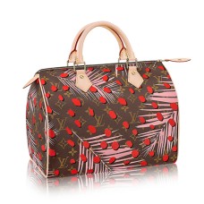 Louis Vuitton M41983 Speedy 30 Tote Bag Toile Monogram